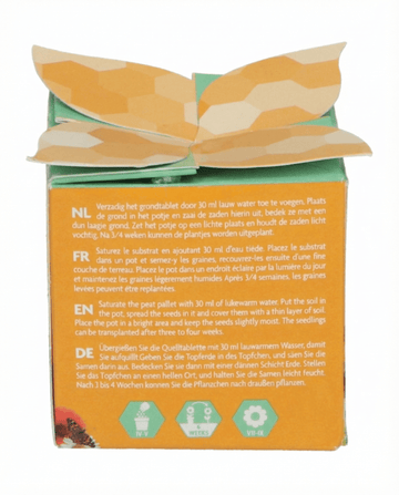 Insekten-Mix Terrakotta-Topf Geschenkset Samen – Anzucht-Set von SeedsChoice