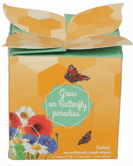 Insect Flower Mix Seeds Terracotta Pot Grow Kit Gift Set