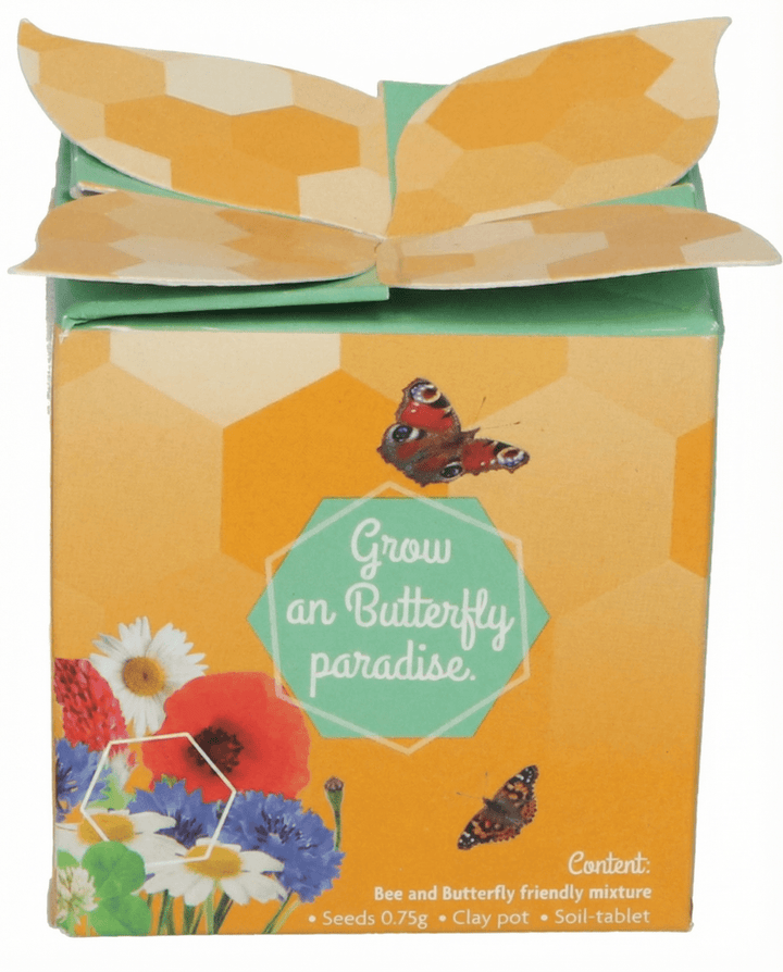 Insekten-Mix Terrakotta-Topf Geschenkset Samen – Anzucht-Set