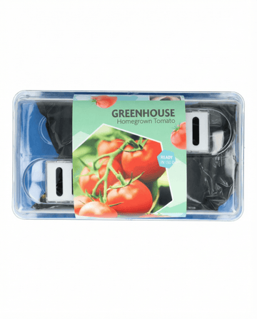 Tomate Maja Greenhouse Patio Samen (Solanum lycopersicum) – Anzucht-Set