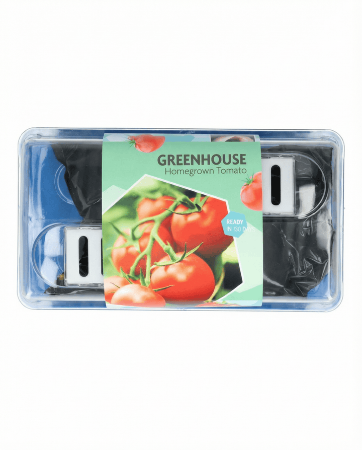 Tomate Maja Greenhouse Patio Samen (Solanum lycopersicum) – Anzucht-Set