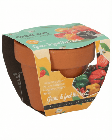 Habanero Pepper Terracotta Pot Samen (Capsicum chinense) – Anzuchtset