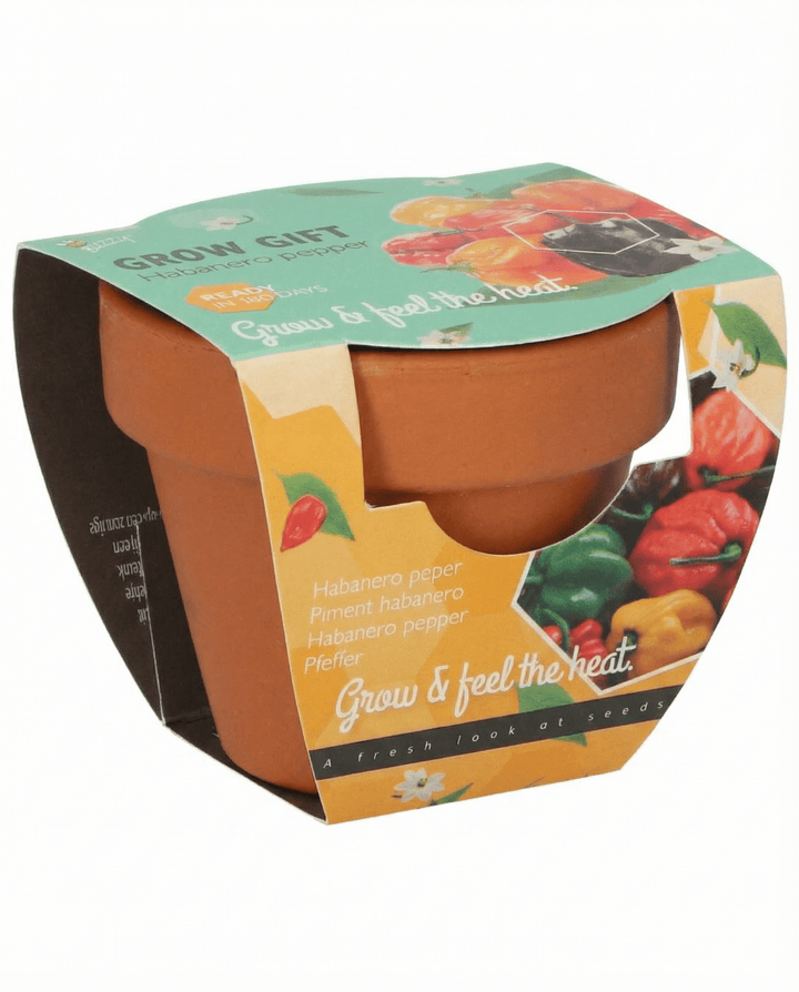 Habanero Pepper Terracotta Pot Samen (Capsicum chinense) – Anzuchtset