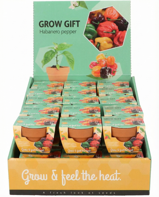 Habanero Pepper Terracotta Pot (Capsicum chinense) – Anzuchtset-Samen von SeedsChoice