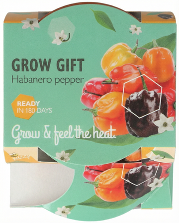 Habanero Pepper Terracotta Pot Samen – Anzuchtset von SeedsChoice