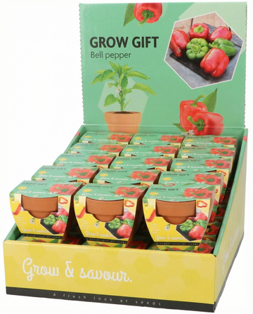 Paprika Terracotta Pot (Capsicum annuum) – Anzuchtset mit Samen von SeedsChoice