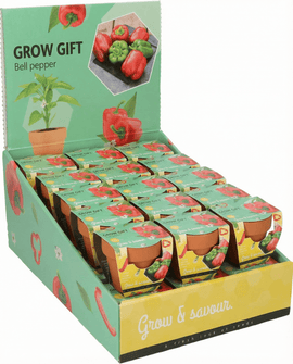 Bell Pepper Seeds Capsicum Annuum Vegetable Grow Kit Terracotta Pot