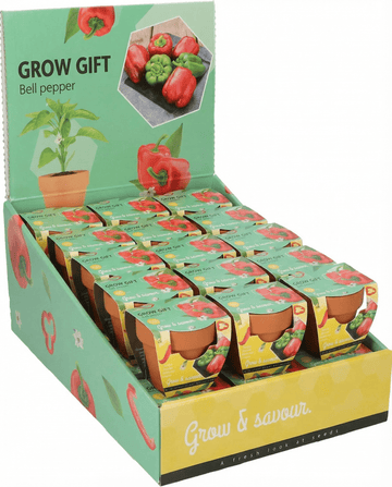 Paprika Terracotta Pot Samen (Capsicum annuum) – Anzuchtset