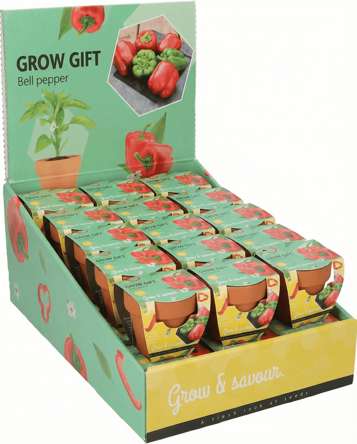 Paprika Terracotta Pot Samen (Capsicum annuum) – Anzuchtset