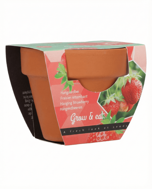 Hänge-Erdbeere (Fragaria × ananassa) – mehrjährige Samen von SeedsChoice