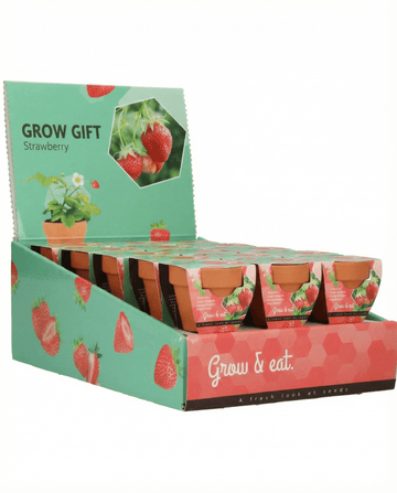 Fragaria × ananassa – Hanging Strawberry grown from seed