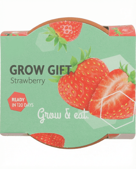 Hanging Strawberry Seeds Fragaria Ananassa Perennial