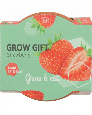 Hanging Strawberry seeds (Fragaria × ananassa) – perennial