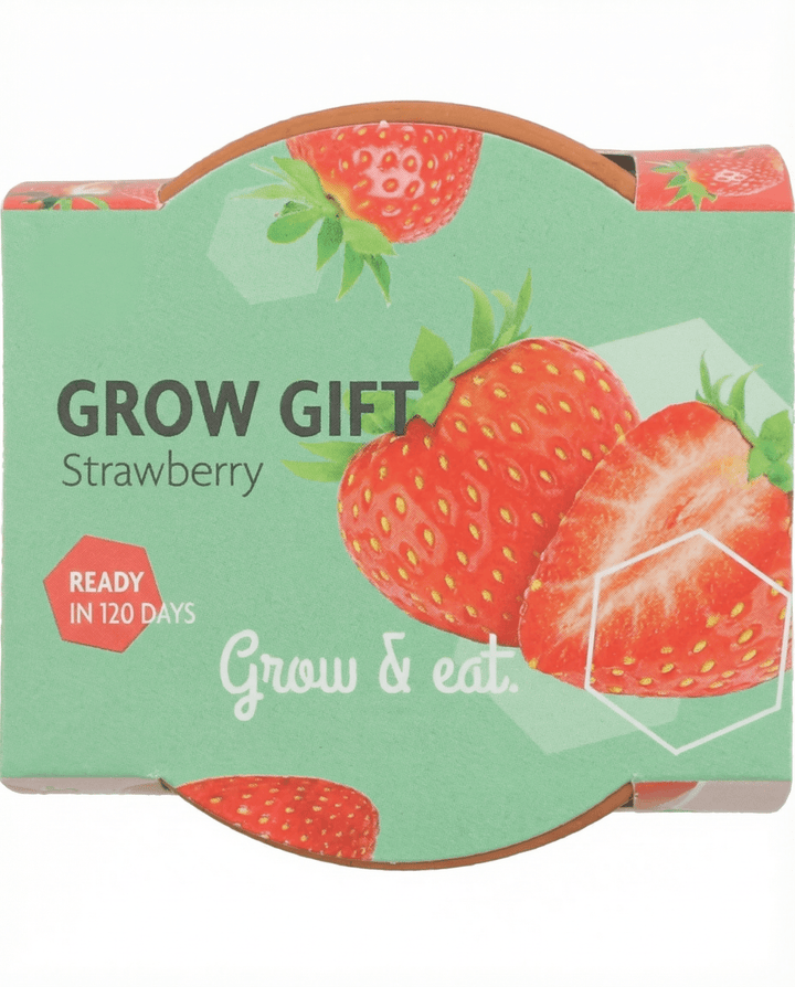 Hänge-Erdbeere Samen (Fragaria × ananassa) – mehrjährig