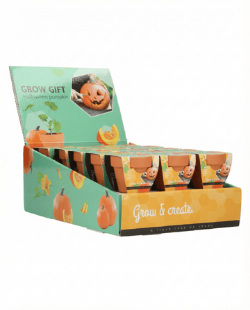 Halloween Pumpkin seeds – grow kit from SeedsChoice