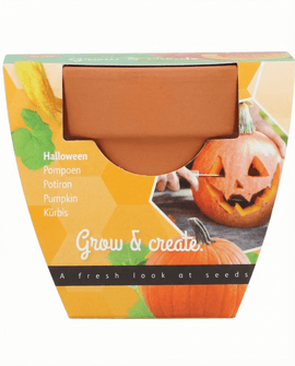 Halloween-Kürbissamen Cucurbita Pepo Gemüse-Anzuchtset