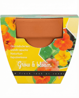 Nasturtium Seeds Tropaeolum Majus Annual Flower Grow Kit