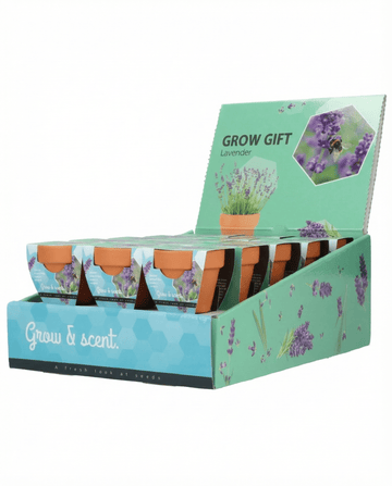 Lavender seeds (Lavandula angustifolia) – perennial grow kit