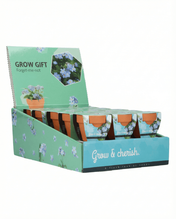 Vergissmeinnicht (Myosotis alpestris) – Anzucht-Set Samen von SeedsChoice