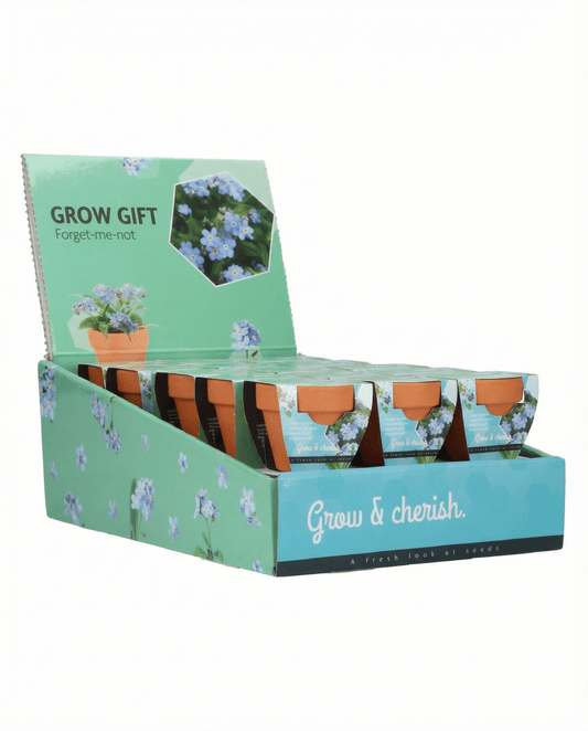 Vergissmeinnicht (Myosotis alpestris) – Anzucht-Set Samen von SeedsChoice