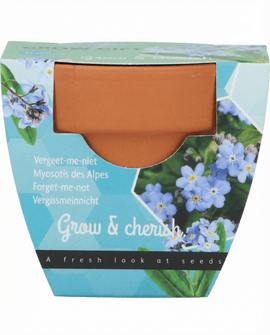 Forget Me Not Seeds Myosotis Alpestris Flower Grow Kit