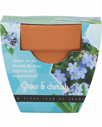 Vergissmeinnicht Samen (Myosotis alpestris) – Anzucht-Set