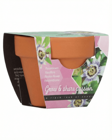 Passiflora Passion Gift Terracotta Pot 30 Pack – grow kit from SeedsChoice