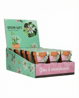 Passiflora Seeds Passion Flower Grow Gift Kit Terracotta Pot 30 Pack