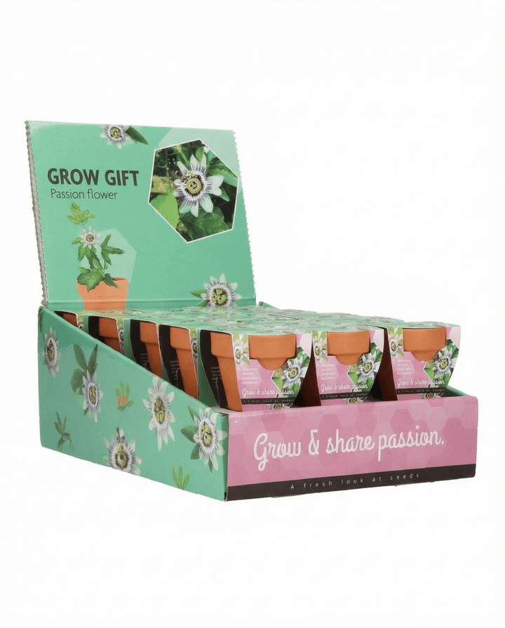 Passiflora Passion Gift Terracotta Pot 30 Pack Samen – Anzucht-Set