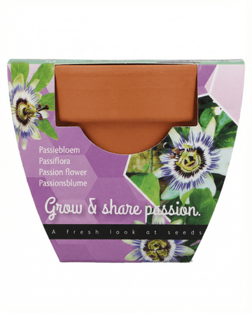 Passiflora Passion Gift Terracotta Pot 30 Pack seeds – grow kit from SeedsChoice