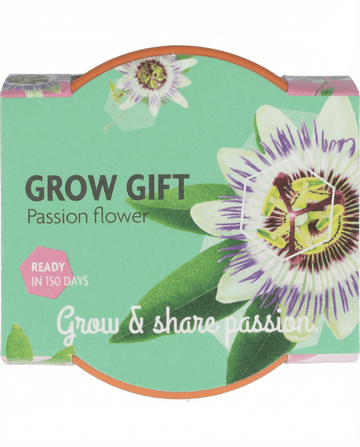 Passiflora Passion Gift Terracotta Pot 30 Pack – grow kit seeds from SeedsChoice