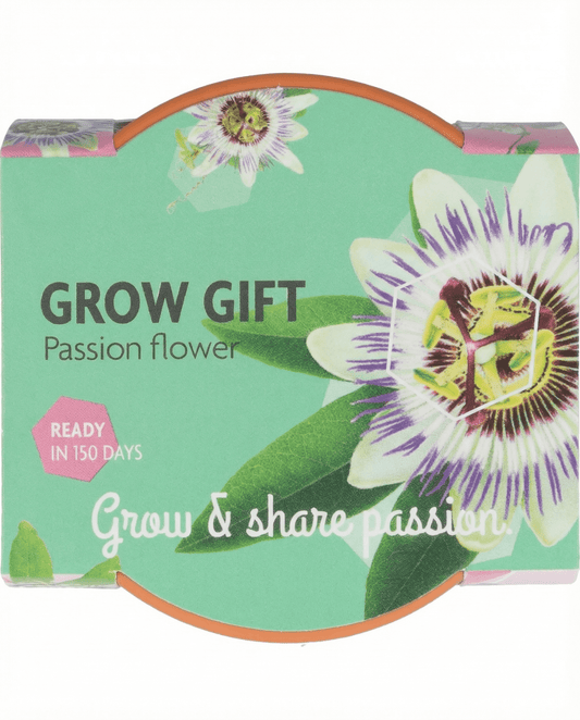 Passiflora Passion Gift Terracotta Pot 30 Pack – Anzucht-Set mit Samen von SeedsChoice
