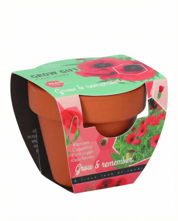 Klatschmohn Terracotta Pot Samen – einjähriges Anzucht-Set von SeedsChoice
