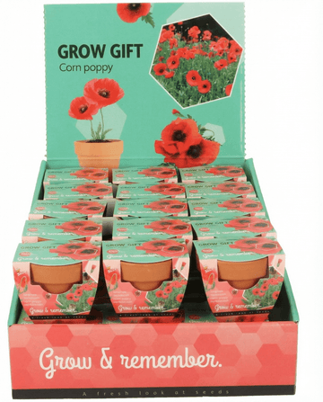 Klatschmohn Terracotta Pot (Papaver rhoeas) – einjähriges Anzucht-Set von SeedsChoice