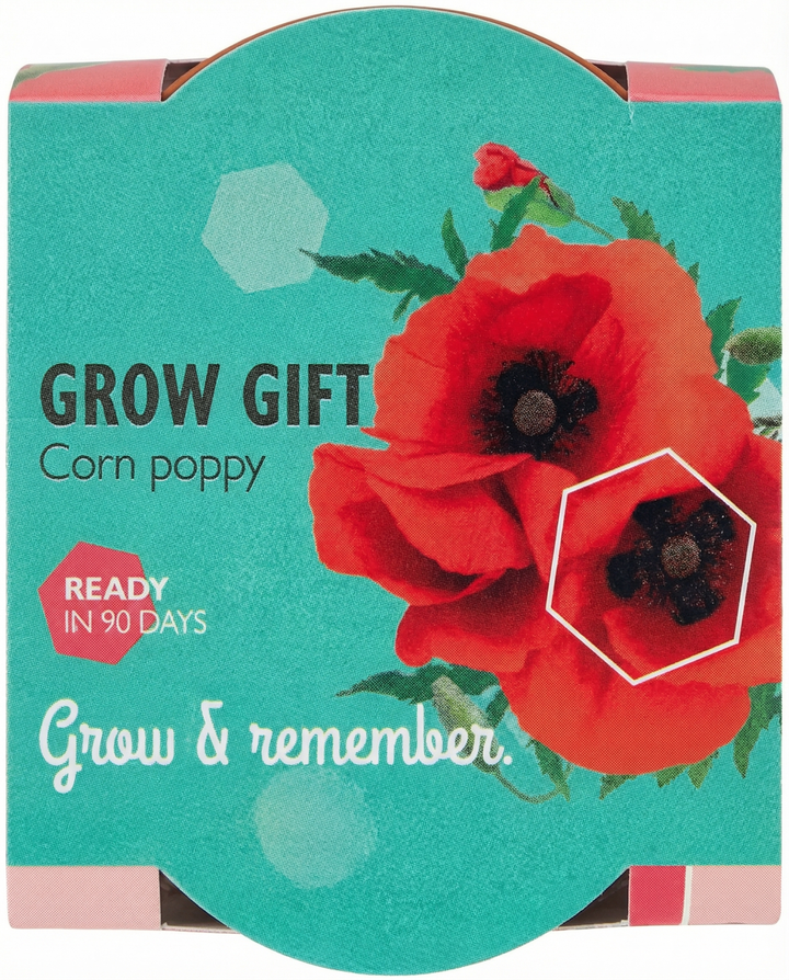 Klatschmohn Terracotta Pot Samen (Papaver rhoeas) – einjähriges Anzucht-Set