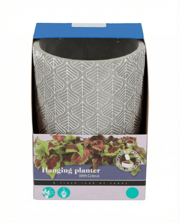 Hängepflanzer Samen (Coleus blumei) – Anzucht-Set