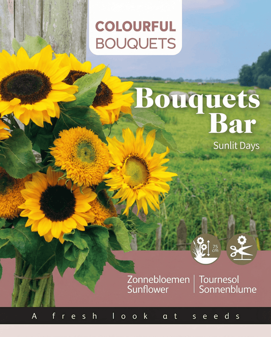 Sonnenblume 75 Cm Bouquet Mix (Helianthus annuus) – einjährige Blumensamen von SeedsChoice