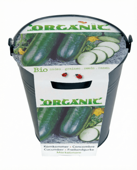 Cucumber Seeds Organic Cucumis Sativus Marketmore Variety