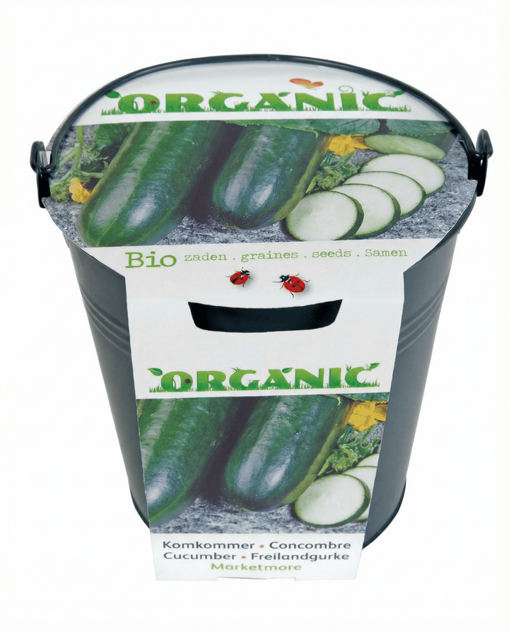 Gurke Marketmore Samen (Cucumis sativus) – Bio-Gemüse