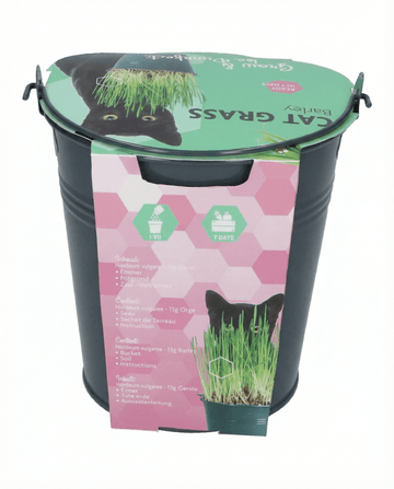 Katzengras Gerste Eimer Samen (Hordeum vulgare) – Anzuchtset