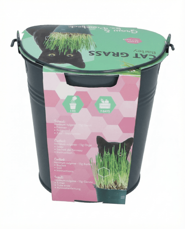 Cat Grass Barley Bucket seeds (Hordeum vulgare) – grow kit