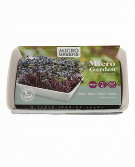Daikon-Rettich-Samen Raphanus Sativus Microgreens Indoor-Set