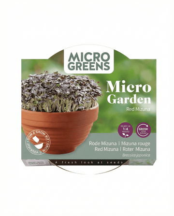 Red Mizuna Microgreens Terracotta Gemüse Samen – Anzuchtset von SeedsChoice