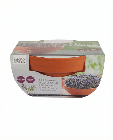 Red Mizuna Microgreens Terracotta Gemüse Samen (Brassica japonica) – Anzuchtset