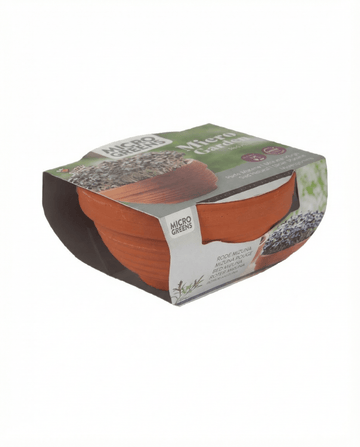 Red Mizuna Microgreens Terracotta Gemüse (Brassica japonica) – Anzuchtset-Samen von SeedsChoice