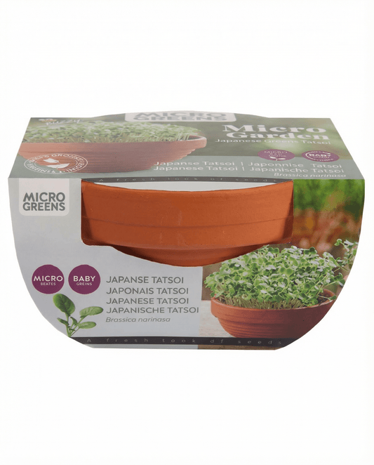 Tatsoi Microgreens Terracotta-Schale (Brassica narinosa) – Anzucht-Set Samen von SeedsChoice