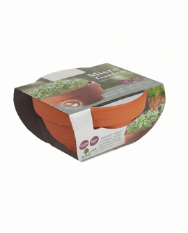 Tatsoi Seeds Brassica Narinosa Microgreens Terracotta Dish Kit