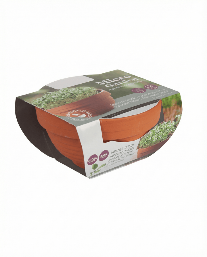 Tatsoi Microgreens Terracotta-Schale Samen (Brassica narinosa) – Anzucht-Set