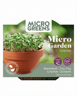 Curly Kale Seeds Brassica Oleracea Microgreens Kit Terracotta Dish