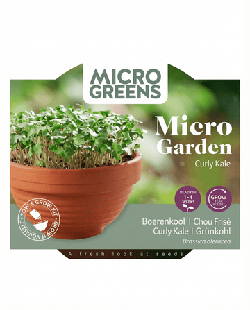 Grünkohl Microgreens Terracotta Dish Samen (Brassica oleracea) – Anzucht-Set